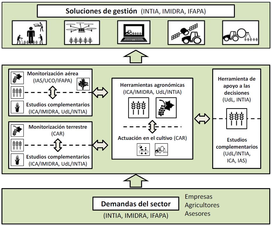 Esquema de coordinación